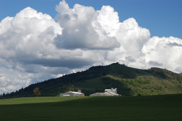 Peterson's Butte and Farm